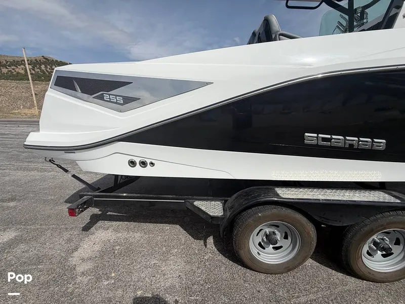 Slide: The Image of Scarab 255 Open 2020 - 16313078