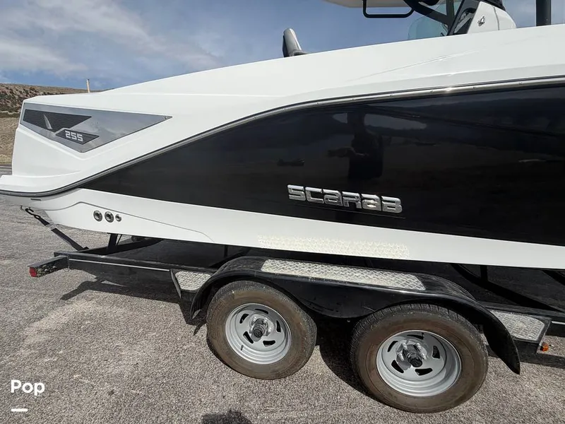 Slide: The Image of Scarab 255 Open 2020 - 16313079