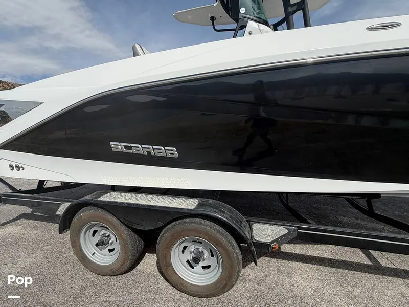 Slide: The Image of Scarab 255 Open 2020 - 16313080