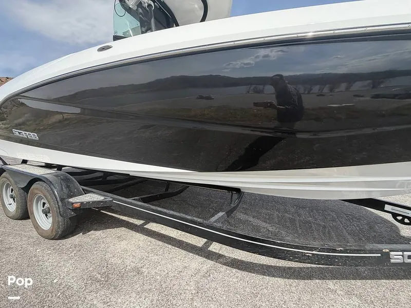 Slide: The Image of Scarab 255 Open 2020 - 16313082