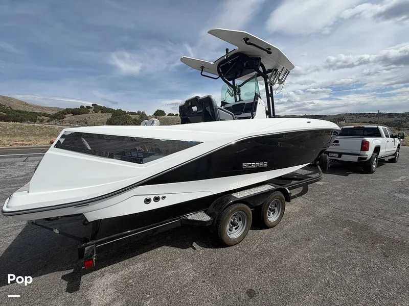 Slide: The Image of Scarab 255 Open 2020 - 16313090