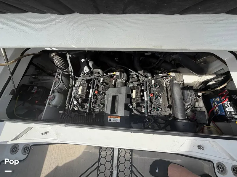 Slide: The Image of Scarab 255 Open 2020 - 16313156