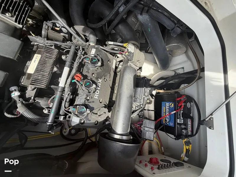 Slide: The Image of Scarab 255 Open 2020 - 16313159