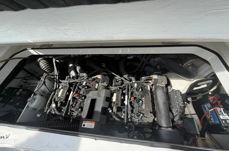 Slide: The Image of Scarab 255 Open 2020 - 16313160