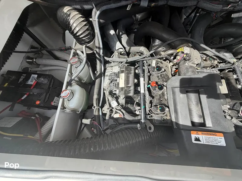 Slide: The Image of Scarab 255 Open 2020 - 16313161