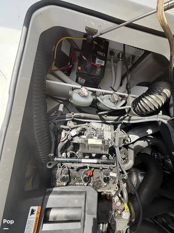 Slide: The Image of Scarab 255 Open 2020 - 16313162