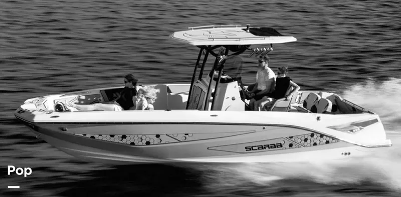 The Image of Scarab 255 open id 2020 - 16298057