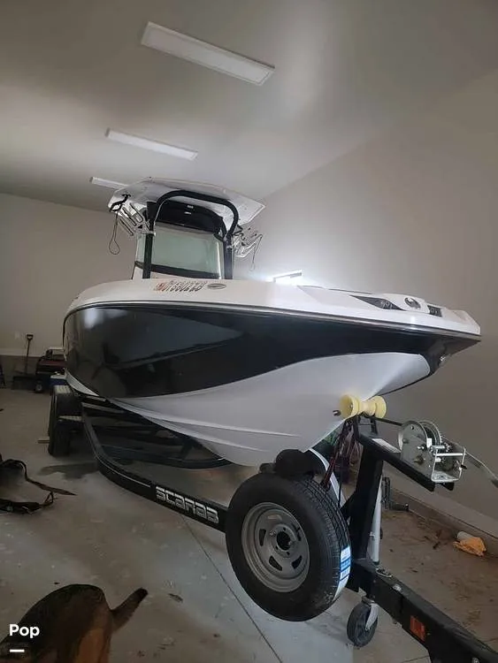 Slide: The Image of Scarab 255 open id 2020 - 16286634