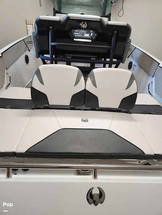 Slide: The Image of Scarab 255 open id 2020 - 16289085