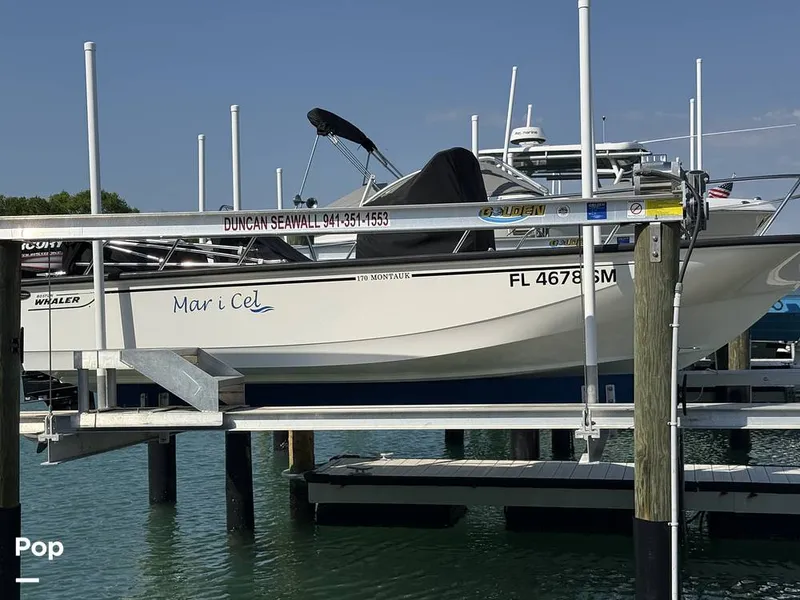 The Image of Boston Whaler 170 Montauk 2020 - 16307424