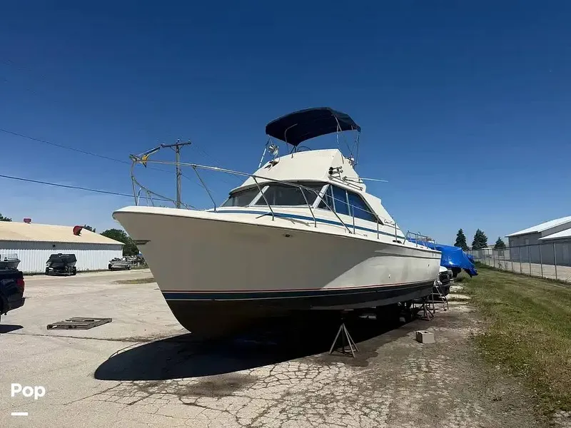 Slide: The Image of Chris-Craft Commander 31 Sports Express Flybridge 1970 - 16463242