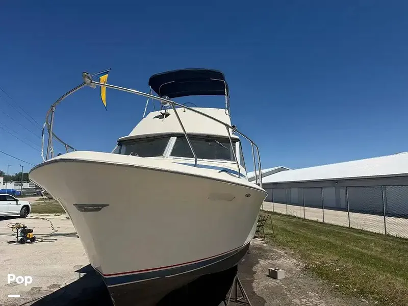 Slide: The Image of Chris-Craft Commander 31 Sports Express Flybridge 1970 - 16463243