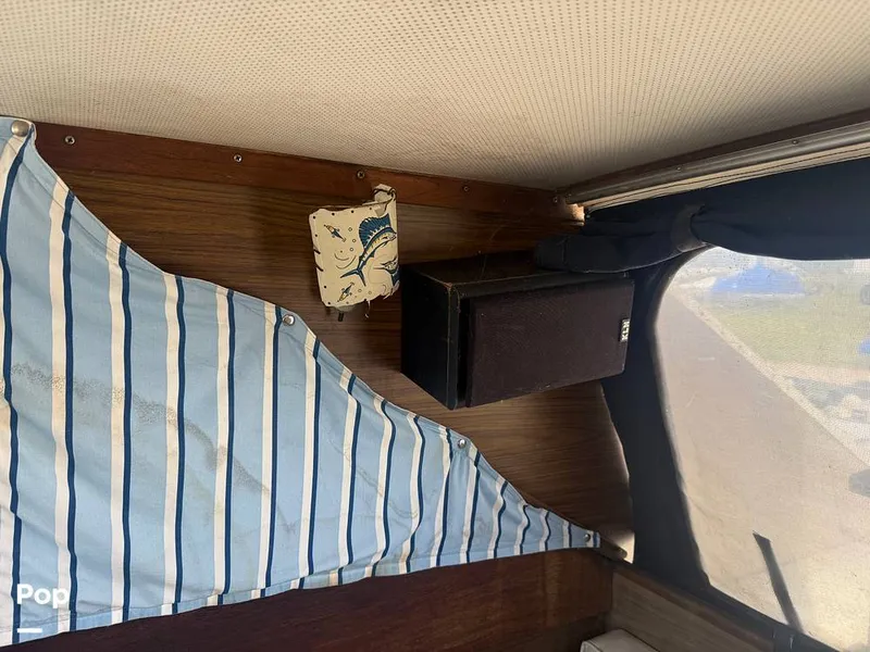 Slide: The Image of Chris-Craft Commander 31 Sports Express Flybridge 1970 - 16462542