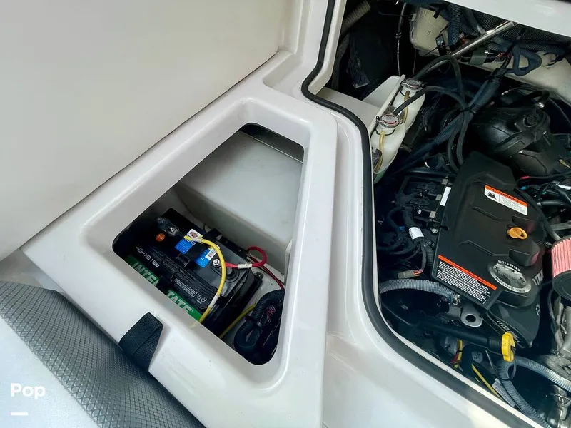 Slide: The Image of Scarab 255 id wake edition 2019 - 16312756