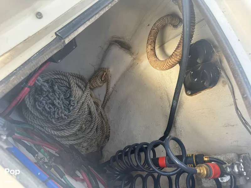 Slide: The Image of Sea Ray 38 Sundancer 2009 - 16323916