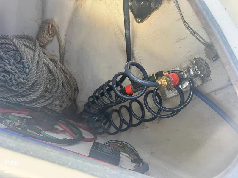 Slide: The Image of Sea Ray 38 Sundancer 2009 - 16323915