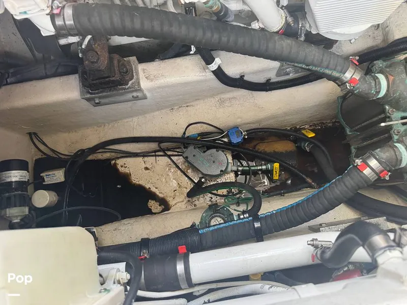 Slide: The Image of Sea Ray 38 Sundancer 2009 - 16324060