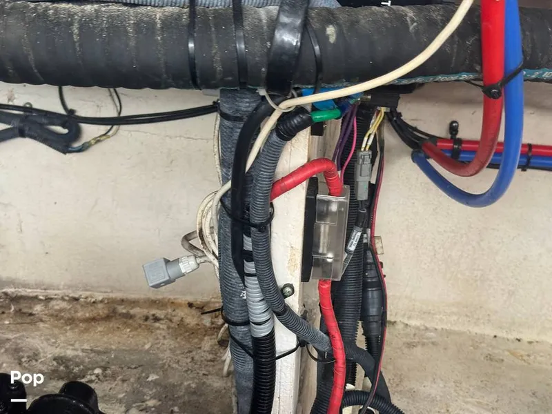 Slide: The Image of Sea Ray 38 Sundancer 2009 - 16324069