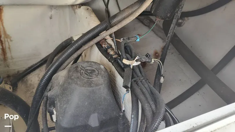 Slide: The Image of Angler 2600 CC 2009 - 16357884