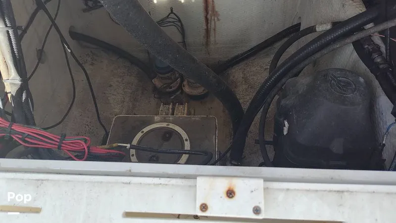 Slide: The Image of Angler 2600 CC 2009 - 16357885