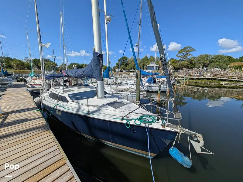 Slide: The Image of Hunter 36 1993 - 16372434