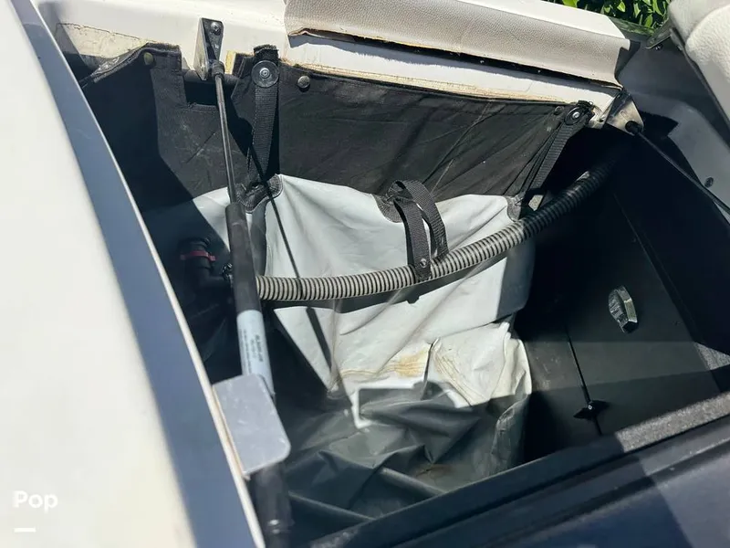 Slide: The Image of Tige R23 2018 - 16322841