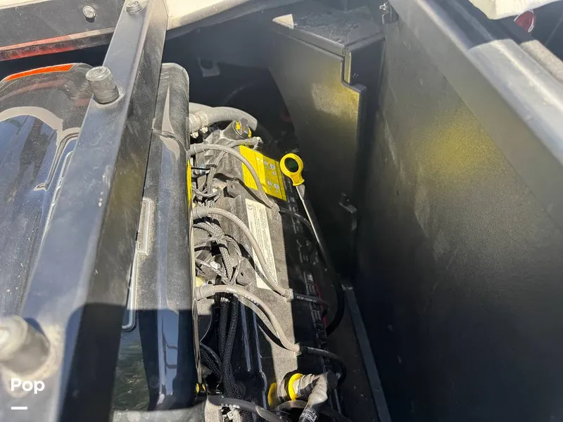 Slide: The Image of Tige R23 2018 - 16322843