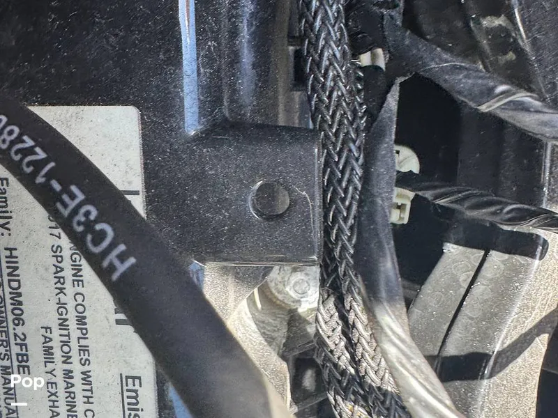 Slide: The Image of Tige R23 2018 - 16322845