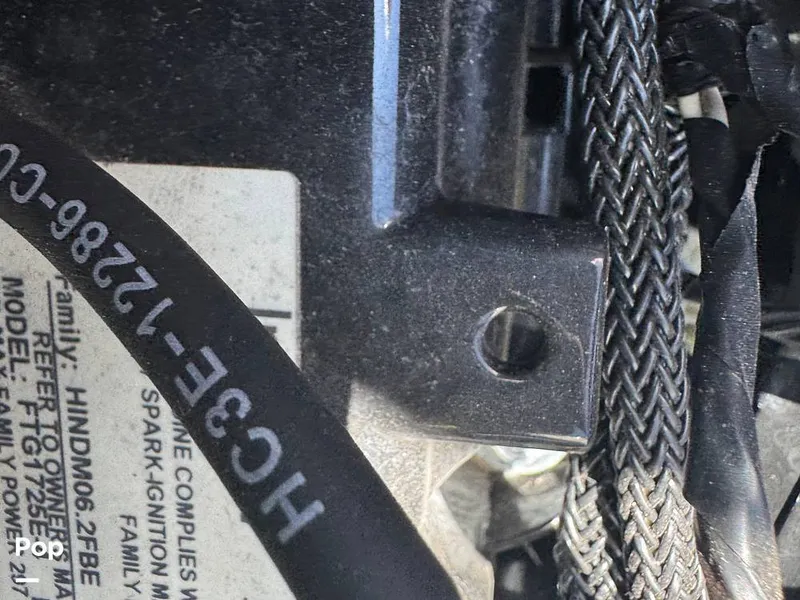 Slide: The Image of Tige R23 2018 - 16322846