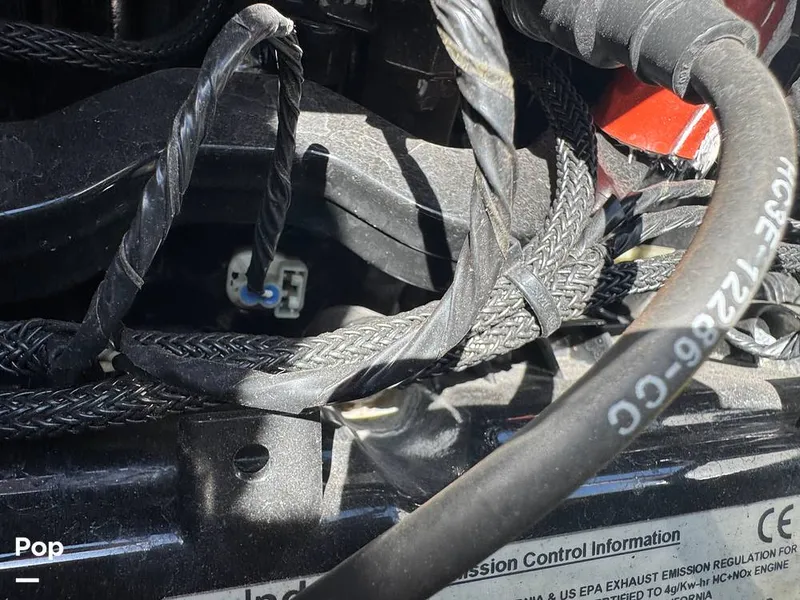 Slide: The Image of Tige R23 2018 - 16322847