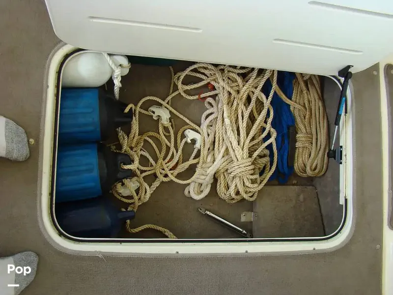 Slide: The Image of Bryant 234 2003 - 16315780