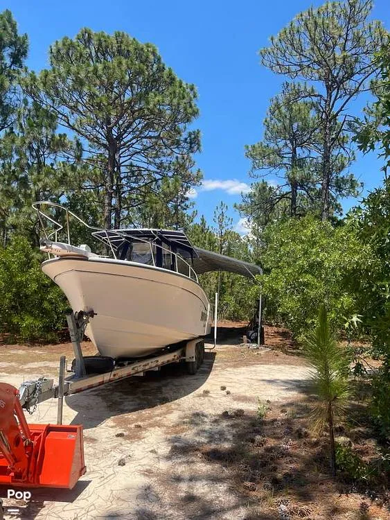 Slide: The Image of Grady-White 306 bimini 1998 - 16319440