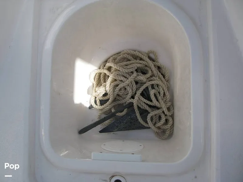 Slide: The Image of Sea Fox Commander 228 2024 - 16427577