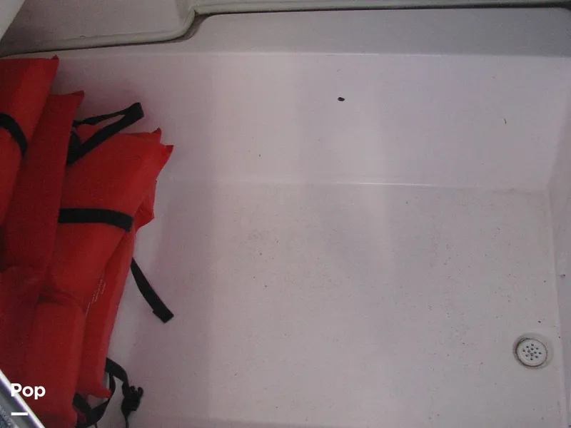 Slide: The Image of Sea Fox Commander 228 2024 - 16427670