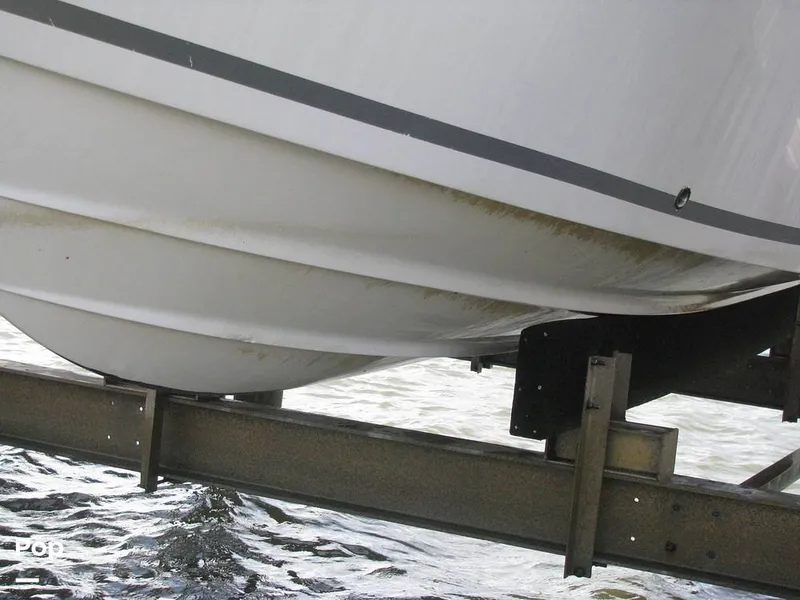 Slide: The Image of Sea Fox Commander 228 2024 - 16427565