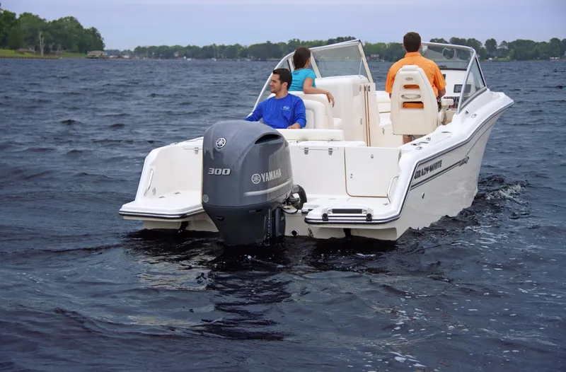 Slide: The Image of Grady-White Freedom 235 2026 - 2