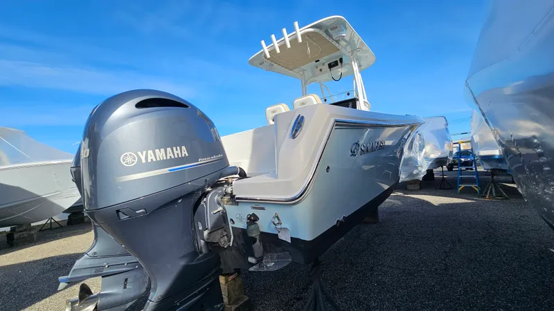 Slide: The Image of Sailfish 242 CC 2021 - 6