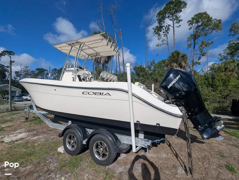 The Image of Cobia 237 2023 - 16329377