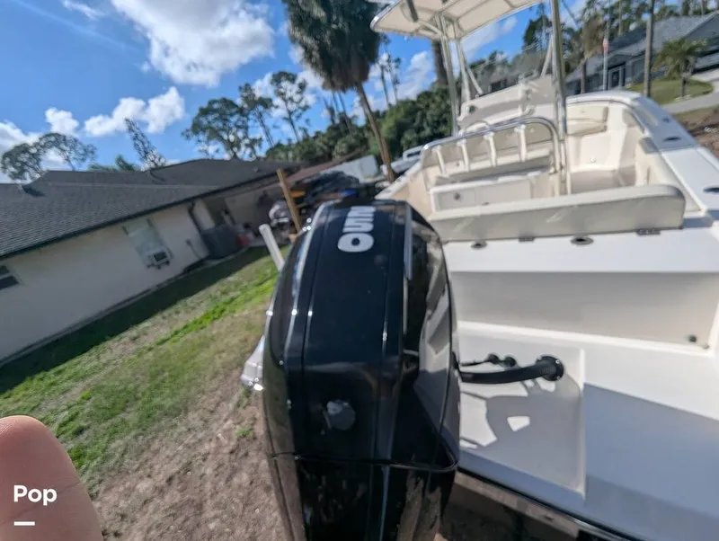 Slide: The Image of Cobia 237 2023 - 16347504