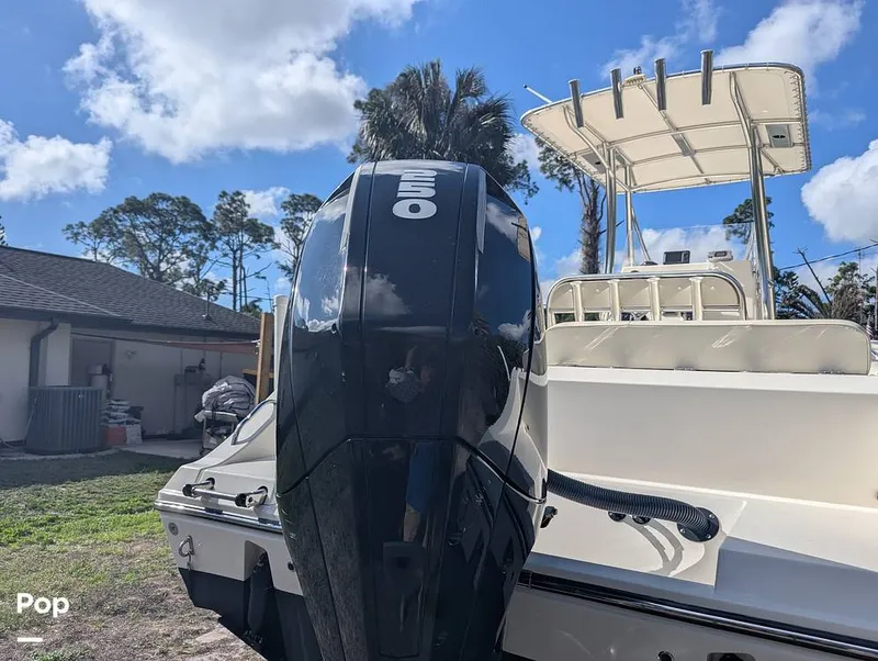 Slide: The Image of Cobia 237 2023 - 16347506