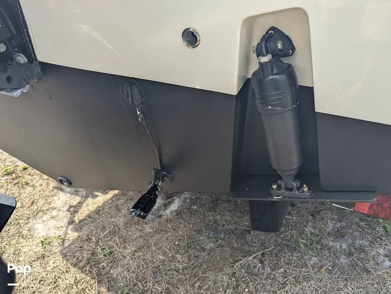 Slide: The Image of Cobia 237 2023 - 16347507