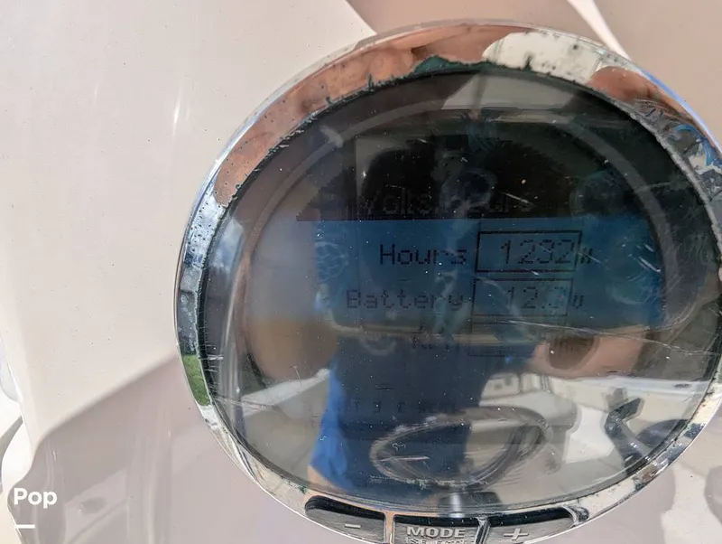 Slide: The Image of Cobia 237 2023 - 16347415