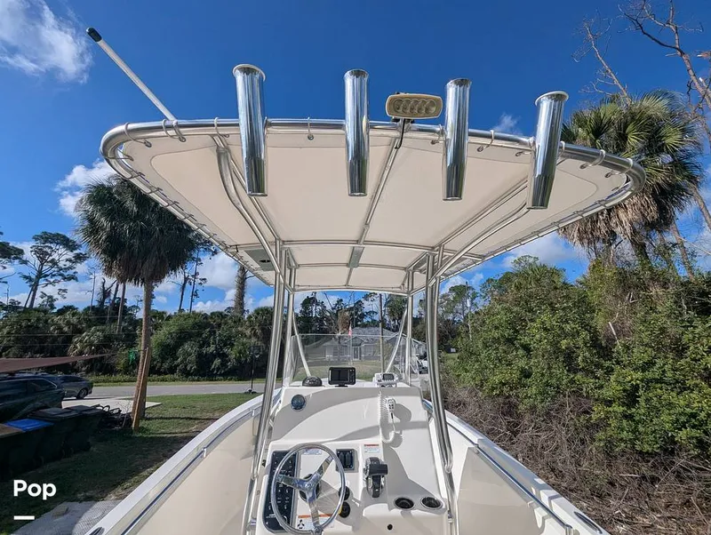 Slide: The Image of Cobia 237 2023 - 16347416