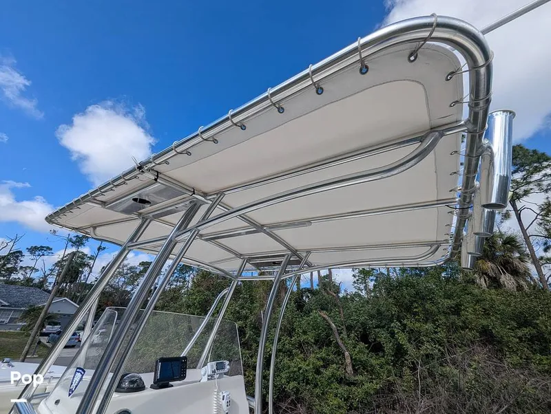 Slide: The Image of Cobia 237 2023 - 16347418