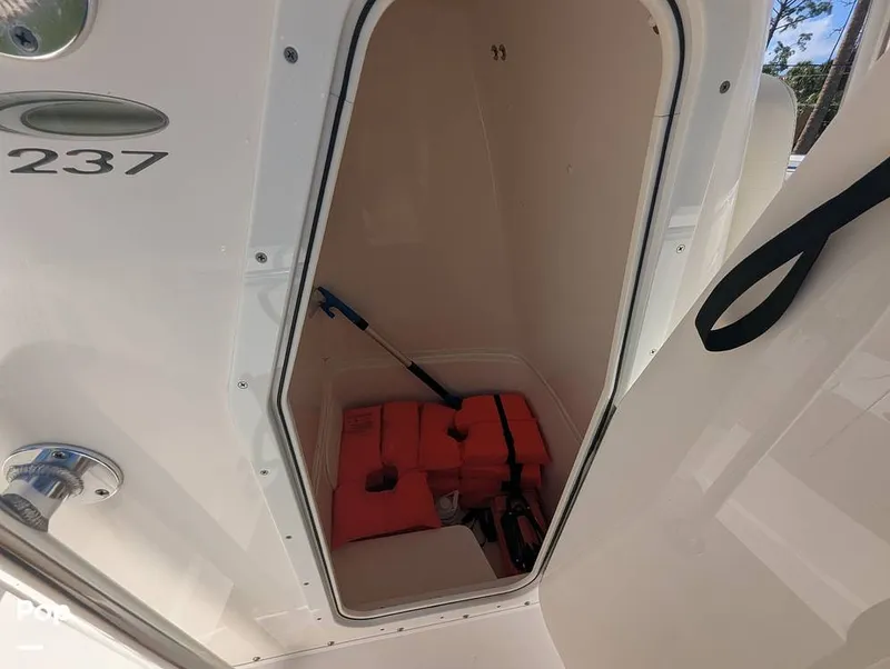 Slide: The Image of Cobia 237 2023 - 16347424