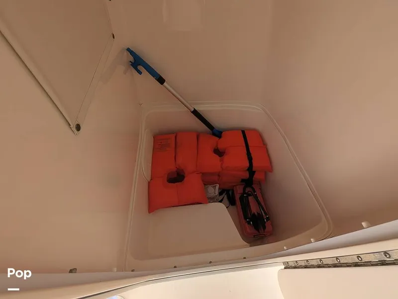 Slide: The Image of Cobia 237 2023 - 16347425