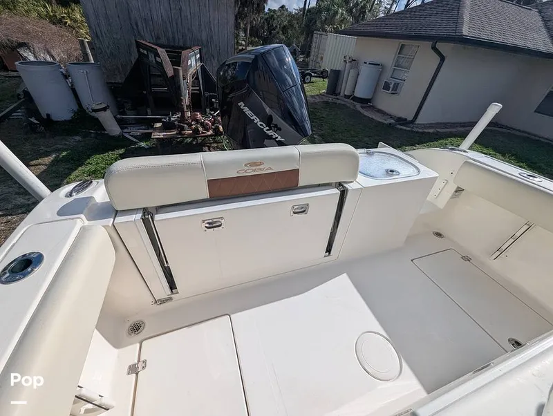 Slide: The Image of Cobia 237 2023 - 16347427