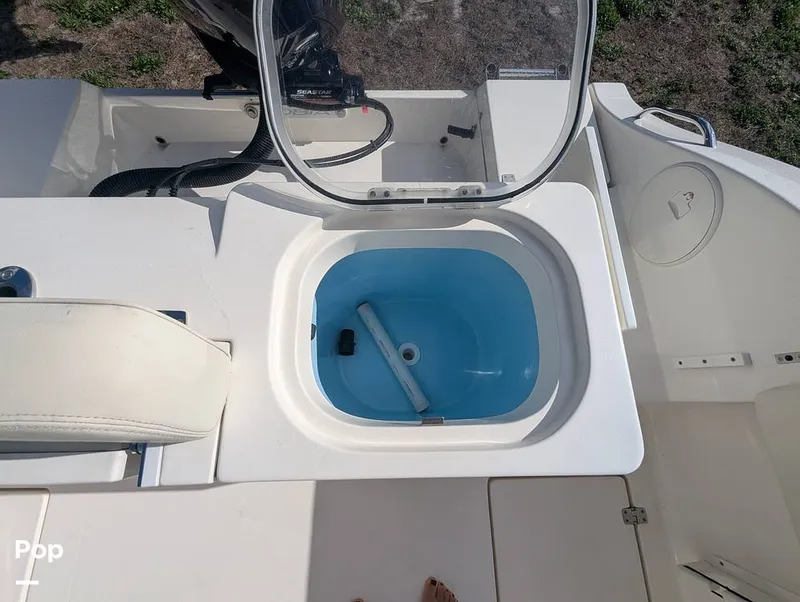 Slide: The Image of Cobia 237 2023 - 16347428