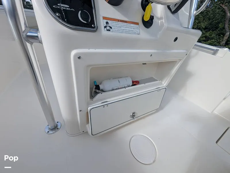 Slide: The Image of Cobia 237 2023 - 16347436