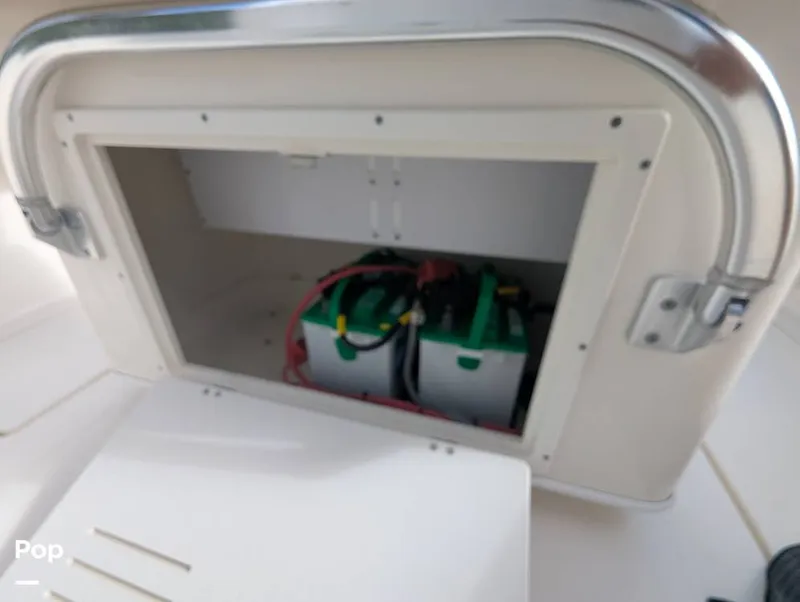 Slide: The Image of Cobia 237 2023 - 16347437